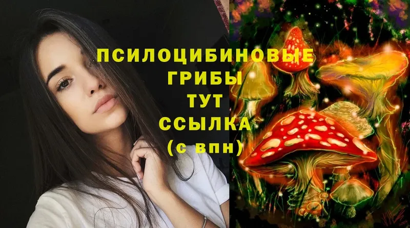 Псилоцибиновые грибы Magic Shrooms  Арамиль 